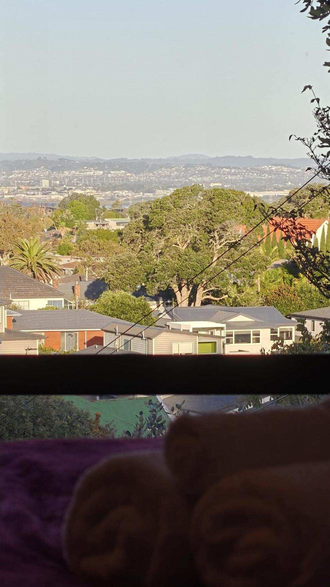 Villa Hidden Oasis In Epsom With Panoramic View à Auckland Extérieur photo